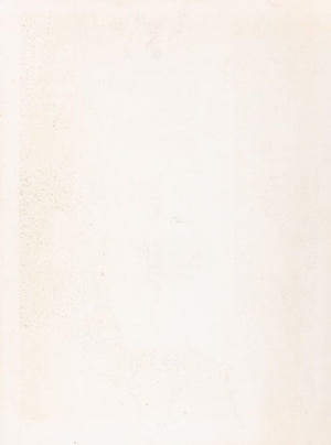 Irene Zevon Abstracted Still Life Lithograph (9741567459635)