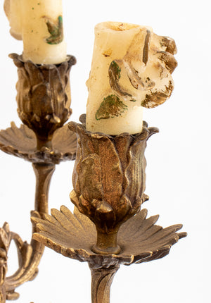 Louis XVI Style Bronze Candelabra Mounted as Lamp (9742204207411)