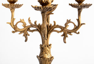 Louis XVI Style Bronze Candelabra Mounted as Lamp (9742204207411)