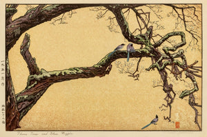Toshi Yoshida "Plum Tree and Blue Magpie" Woodcut (9801716793651)