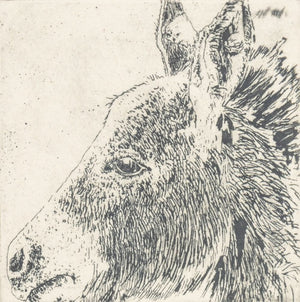 Karla M. Parker Animal Etchings, 2 (9801023947059)
