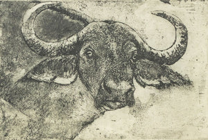 Karla M. Parker "Cape Buffalo" Etching (9801028469043)