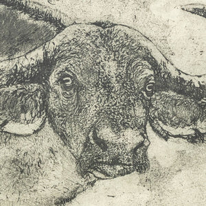 Karla M. Parker "Cape Buffalo" Etching (9801028469043)