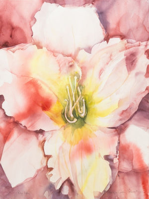 Nancylee C. Schwartz "Big Lily" Watercolor (9783270965555)
