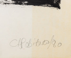 Domenick Capobianco "Landing" Acrylic on Paper (9773496762675)
