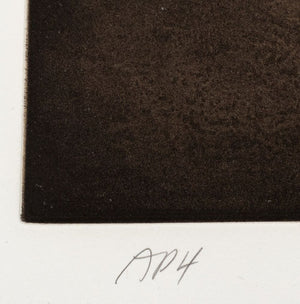 Ross Bleckner "Dome Two" Etching and Aquatint (9742219477299)