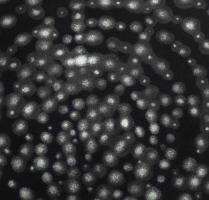 Ross Bleckner "Pathway L" Etching & Aquatint, 2002 (9742224752947)