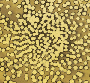 Ross Bleckner "Selection Sequence" Etching (9742315847987)