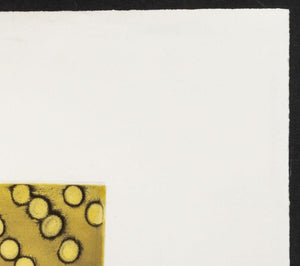 Ross Bleckner "Selection Sequence" Etching (9742315847987)