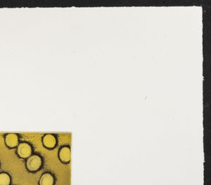 Ross Bleckner "Selection Sequence" Etching (9742318534963)