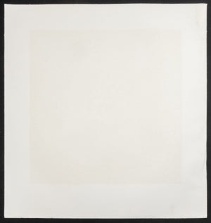 Ross Bleckner "Selection Sequence" Etching (9742318534963)