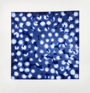 Ross Bleckner "Chaperone" Etching and Aquatint (9742352810291)