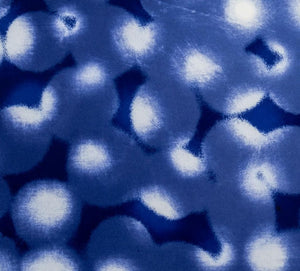 Ross Bleckner "Chaperone" Etching and Aquatint (9742352810291)