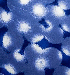Ross Bleckner "Chaperone" Etching and Aquatint (9742358675763)