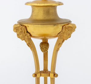 Louis XV Style Ormolu Cassolettes, Pair (9804660769075)