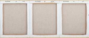 Robert O'Meara Abstract Composition Triptych Oil (9891253551411)