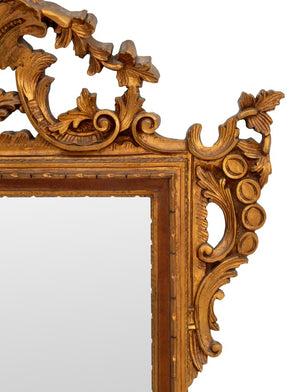 Baroque Style Gilt Composition Mirror (9742194671923)
