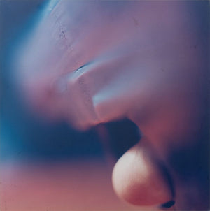 Vibeke Jensen "Gun Shot" Series Photographs, 4 (9802513350963)