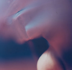Vibeke Jensen "Gun Shot" Series Photographs, 4 (9802513350963)