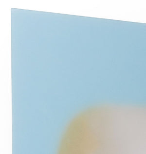 Contemporary School Blurred Fruit C-Print (9802516103475)