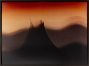 Anne Sager "Burma" Landscape Photogram (9773704970547)