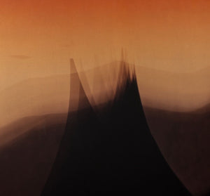 Anne Sager "Burma" Landscape Photogram (9773704970547)