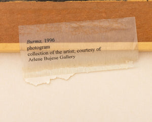 Anne Sager "Burma" Landscape Photogram (9773704970547)