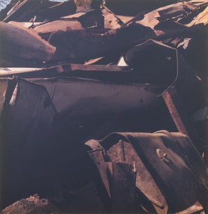 Anne Sager "Arrangement in Brown & Black" C-Print (9773727220019)