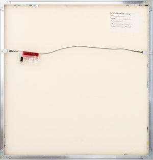 Anne Sager "Arrangement in Brown & Black" C-Print (9773727220019)