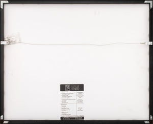 Anne Sager Airplane Wing Chromogenic Print (9772783206707)