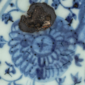 Chinese Blue and White Porcelain Shallow Bowl (9806621049139)