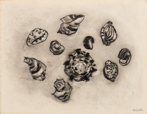 Manfred Schwartz Still Life of Seashells Charcoal (9757954605363)