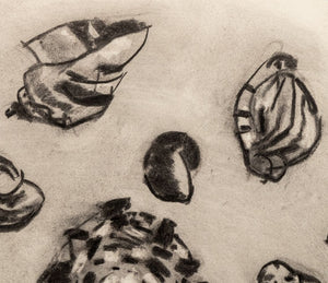 Manfred Schwartz Still Life of Seashells Charcoal (9757954605363)
