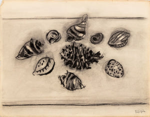 Manfred Schwartz Still Life of Seashells Charcoal (9759894044979)