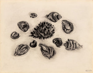 Manfred Schwartz Still Life of Seashells Charcoal (9759839945011)