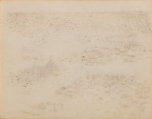 Manfred Schwartz Still Life of Seashells Charcoal (9759839945011)