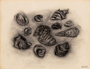 Manfred Schwartz Still Life of Seashells Charcoal (9759853445427)