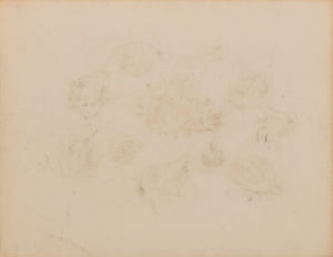 Manfred Schwartz Still Life of Seashells Charcoal (9759853445427)