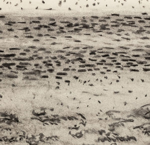 Manfred Schwartz Beach Seascape Charcoal on Paper (9759901876531)
