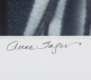 Anne Sager Striped Shirt Chromogenic Print (9769974530355)