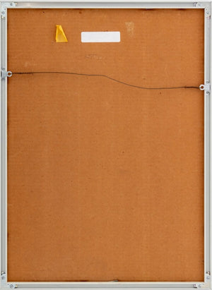 Anne Sager Flypaper Posters Photograph C-Print (9773738230067)