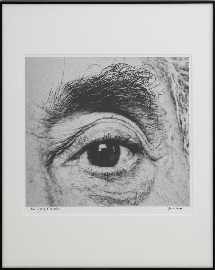 Anne Sager "The Eye of Eisenstaedt" Photograph