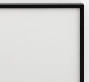 Anne Sager "The Eye of Eisenstaedt" Photograph (9773752910131)