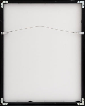 Anne Sager "The Eye of Eisenstaedt" Photograph (9773752910131)