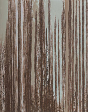 Anne Sager "Bois de Vincennes" Color Photograph (9773766836531)