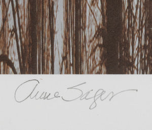 Anne Sager "Bois de Vincennes" Color Photograph (9773766836531)