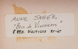 Anne Sager "Bois de Vincennes" Color Photograph (9773766836531)
