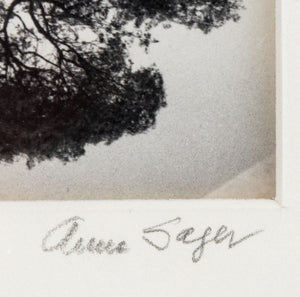 Anne Sager Southeast Asia Landscape Photographs, 2 (9769975808307)
