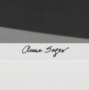 Anne Sager Airplane Wing Chromogenic Print (9772801720627)