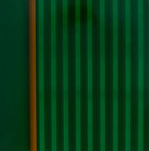Anne Sager Green Abstraction Digital Composition (9757816553779)